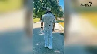Royaura 2024 Aloha Hawaiian Shirts | Vacation is A State of Mind | Free shipping over $79
