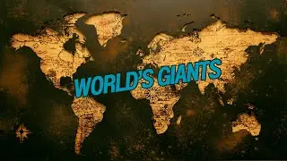 Top 10 Largest Countries in the World by Area 🌍
