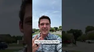 Account Executives do what?