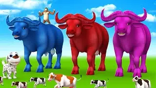 Paint the Animals - Giant Magical Color Buffalo in Jungle - Magical Farm Animals Videos Collection