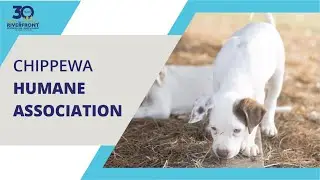 Chippewa Humane Association & Rock The Riverfront