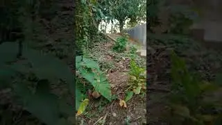 rumahku Deket kuburan klo malam pun tidur sendirian
