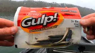 Berkley GULP Minnow Catches Unexpected Fish!