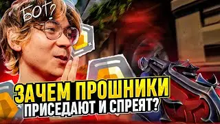 ЗАЧЕМ ПРОШНИКИ СПРЕЯТ И ПРИСЕДАЮТ / 