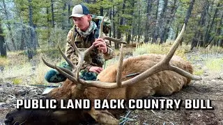 BACK COUNTRY BULL DOWN! (Called Him In!)