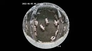 RoiDOME-6