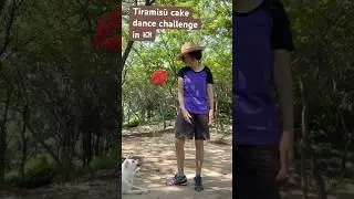 Questa canzone Tiramisu Cake va di moda in Corea | SO.OK