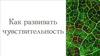 Развитие чувствительности