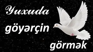 Yuxuda göyərçin görmək ☾✵ Qısa Yuxuyozma
