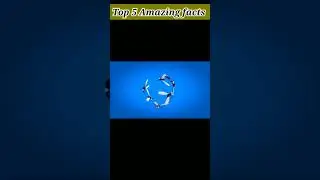 Top 5 Amazing facts l #shorts #youtubeshorts @CrazyXYZ @MRINDIANHACKER