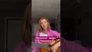 Мельница - Двери Тамерлана #cover #guitar #гитара #кавер #мельница