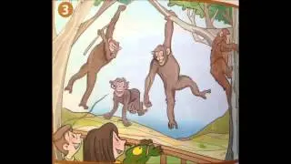 at the safari