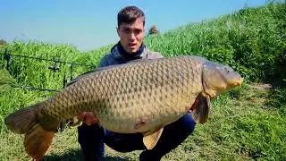 Carpa 19,3kg