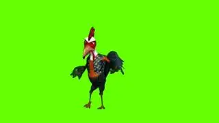 A Cock Fighting Green Screen - Chroma Key
