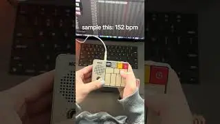 crazy new pocket synth 2025 