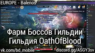Black Desert Mobile [EUROPE - Баленос] - Фарм боссов Гильдии/Гильдия OathOfBlood