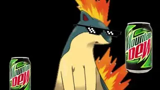 MLG Quilava (Pokemon Battle Revolution)