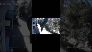 Будем знакомы, Сквидвард #мемы