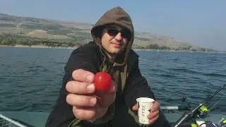 Kinneret. Trophy fishing with MISH.