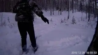 долгожданные каникулы \падения\