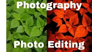 Photography Photo Editing In Lightroom | Photo Editing with Mobile |