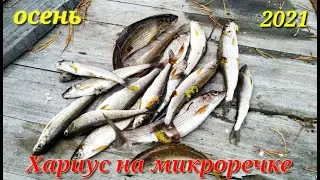 Ловля хариуса на микроречке.