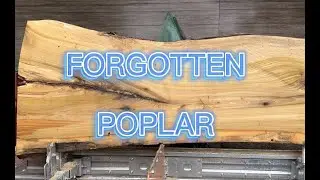 Gold found in the scrap pile!
