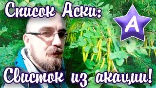 Список Аски — Свисток из стручка акации