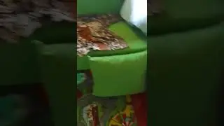 экспиременты
