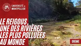 Le Reigous, une des rivières les plus polluées au monde