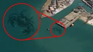 Criaturas EXTRAÑAS Captadas En Google Earth!