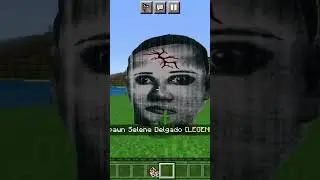 Selene Delgado Lopez Minecraft