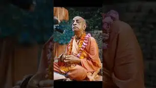 nitai gauranga sreela prabhupada #nitaigauranga #iskcon