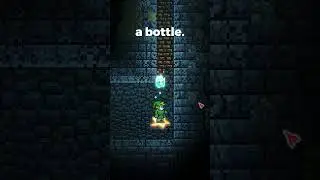 All Light Pets in Terraria #terraria