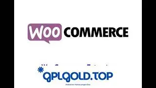 WooCommerce Google Product Feed PRO Free Download  Sync for Free