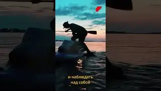 Звездные ночи на юге