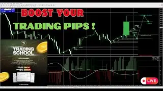 AMD Ultimate Trading System (Mentorship)