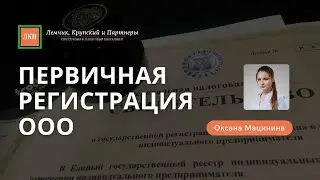 Первичная регистрация Общества с ограниченной ответственностью