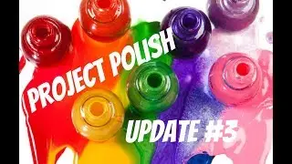 Project Polish Update #3