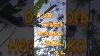 Доброе утро!!!☀️