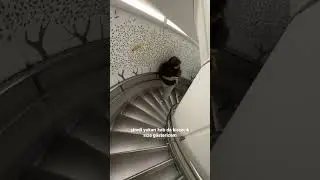 Dünyanın en büyük yolcu uçağına bindim! 