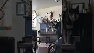 Omg🤦🏾‍♂️🤣 