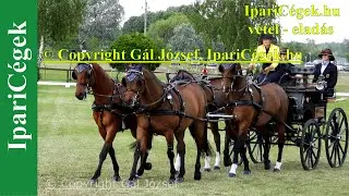 Fogathajtás, Vecsés 2021, H4, Dressage 15-28/28 start, CAI3*, 4K, sv4K210604-C10-N-C18j