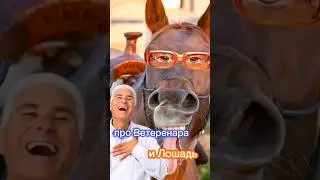 Про Врача и лошадь🐎 #shorts #анекдотыотбелова #юмор #анекдоты #прикол #ржака #смех #рекомендации