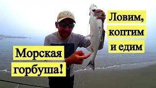 Морская горбуша! Ловим, коптим и едим. Как отличить самку?
