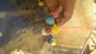 sponge Bob bobbles
