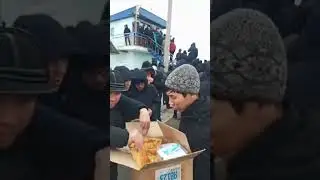 На "майдане" в Казахстане раздают чебуреки