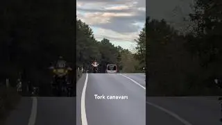 Tork canavarı BMW gs1250