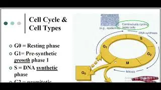 Repair of tissue pathology
