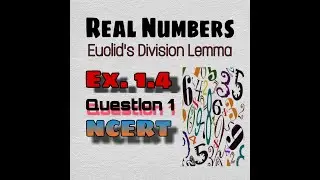 Class 10 maths | Chapter 1 Ex. 1.4 Question 1 | Real Numbers |